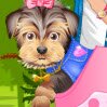 Doggy Bag Games : All dogs are adorable but the great thing about small dogs l ...