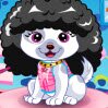 Pet Fashion Contest Games : Pet fashion contest will be hold today. You must want your p ...