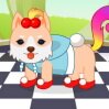 Pet Top Model Show Games : Style and dressup your pets for the pet top model show! Mayb ...